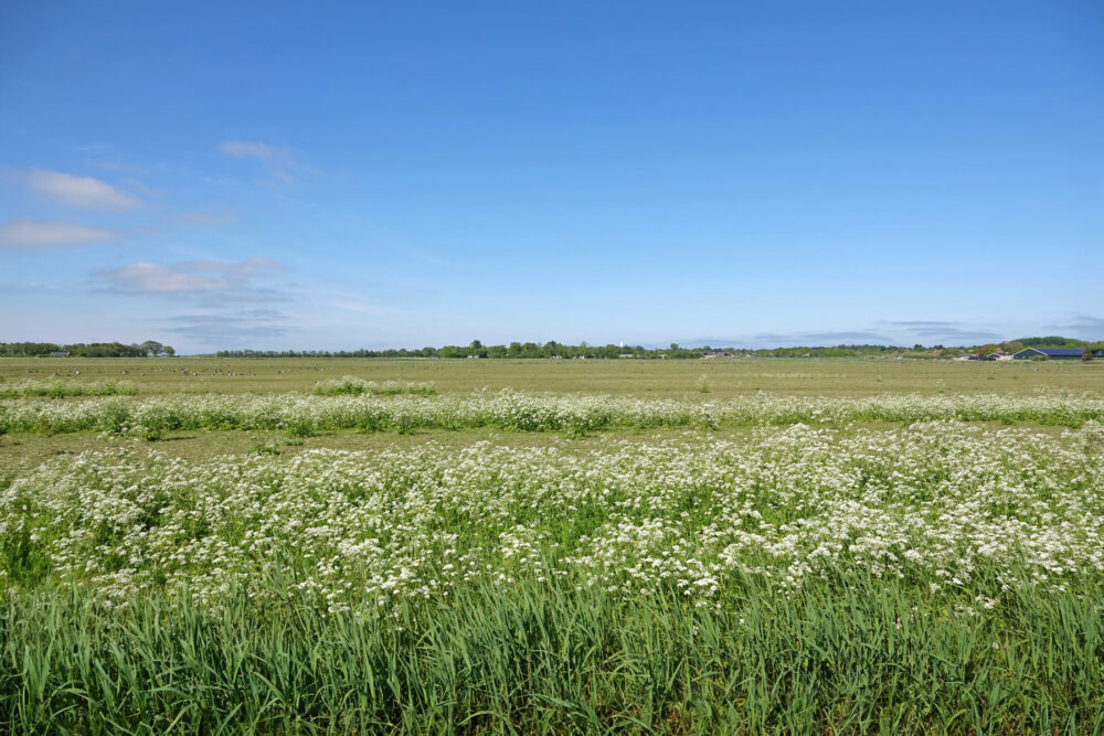 Schiermonnikoog algemeen