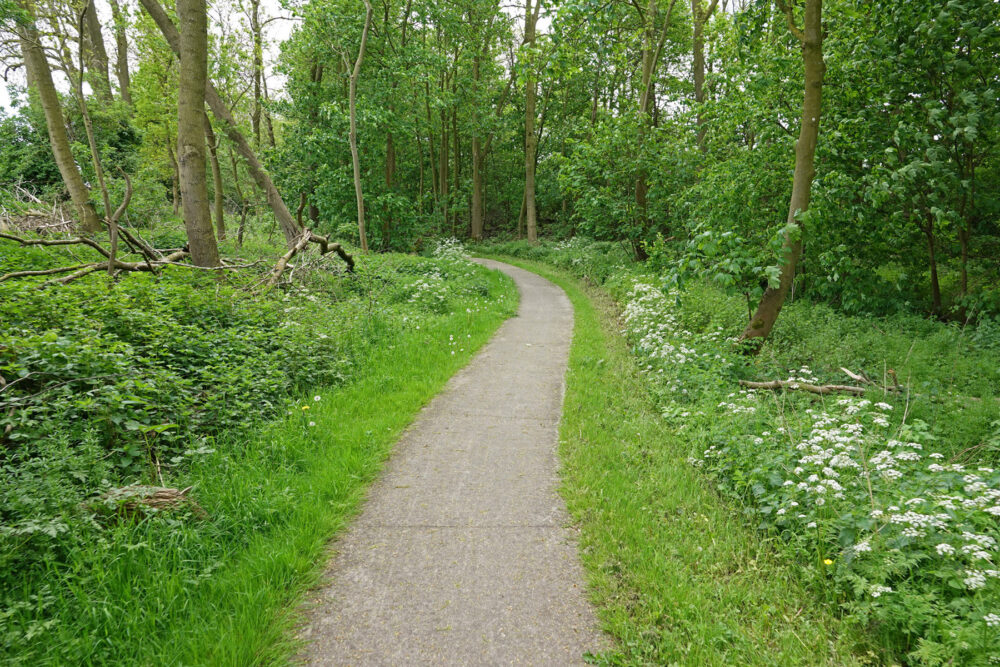 Schokland