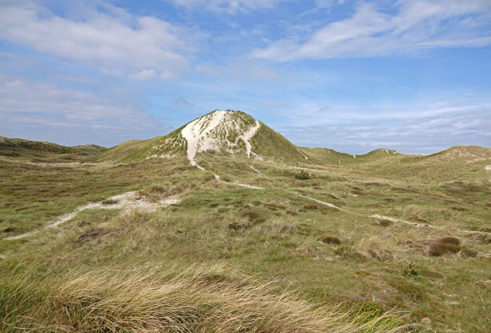 Schoorlse Duinen