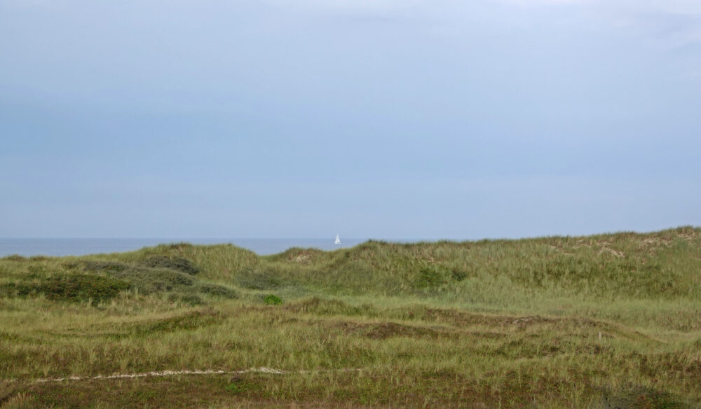 Schoorlse Duinen (Tjalkshoek)