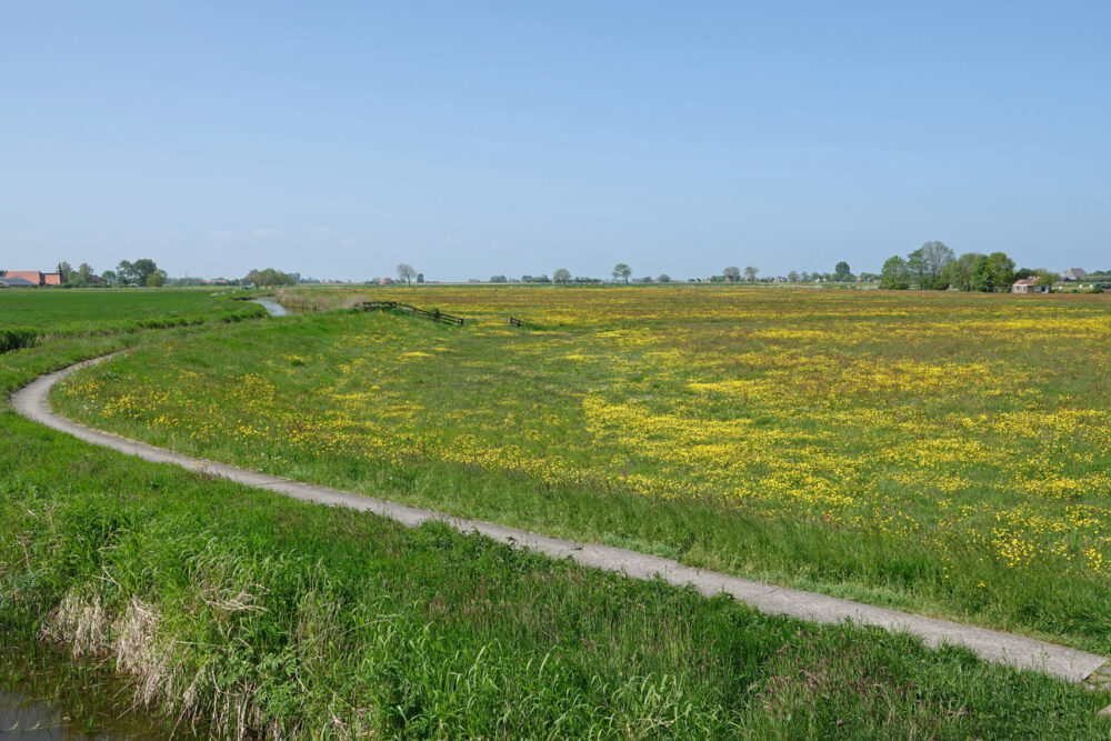 Sensmeer