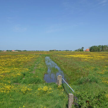 Sensmeer
