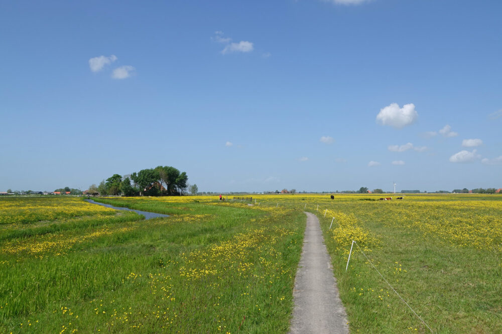 Skrok in het voorjaar