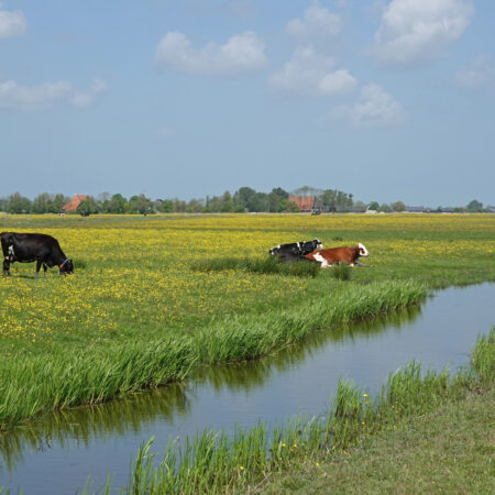 Skrok (Friesland)