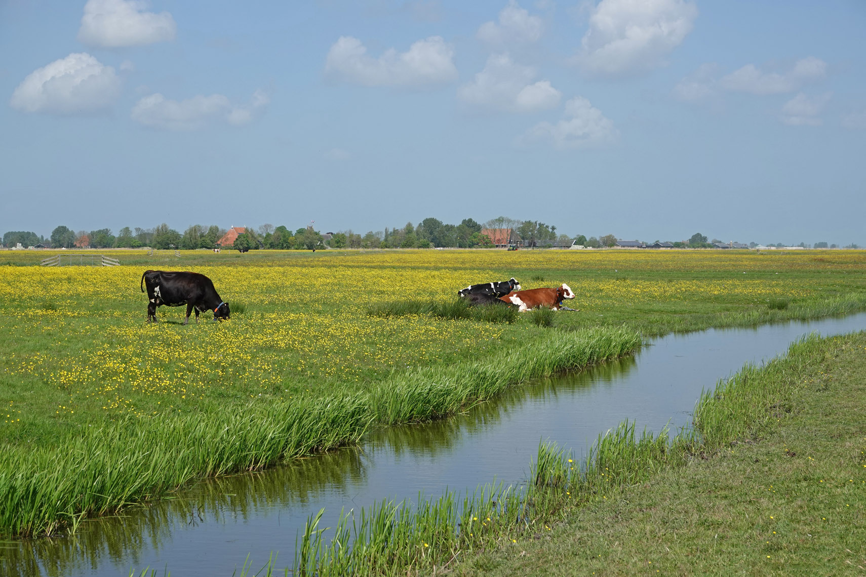 Skrok (Friesland)