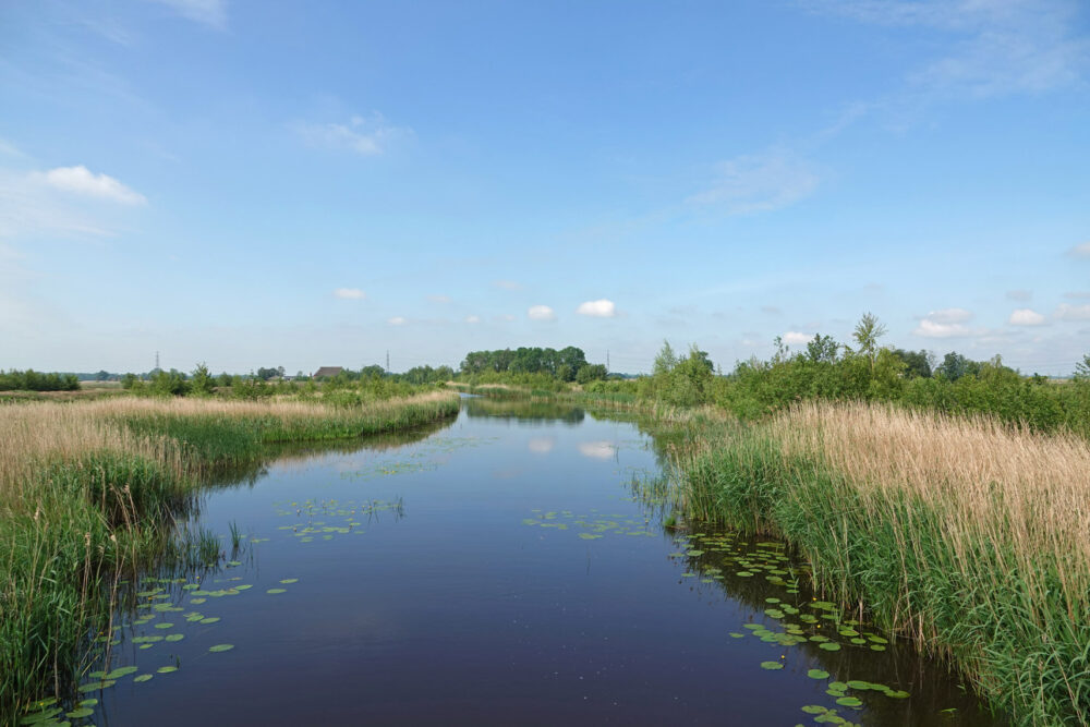 Slenk in Peizerweering (Onlanden)