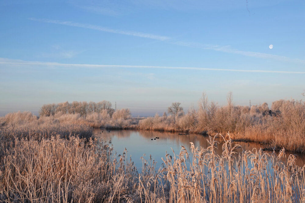 Slenk in Peizerweering in de rijp (Onlanden)