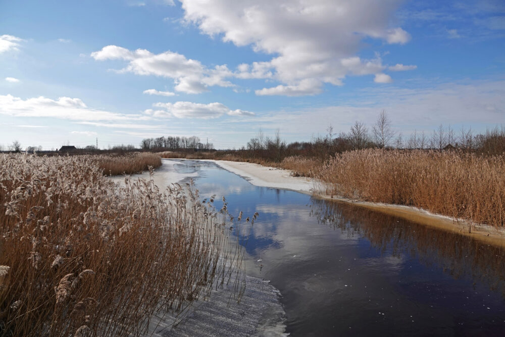 Slenk in Peizerweering in de winter (Onlanden)