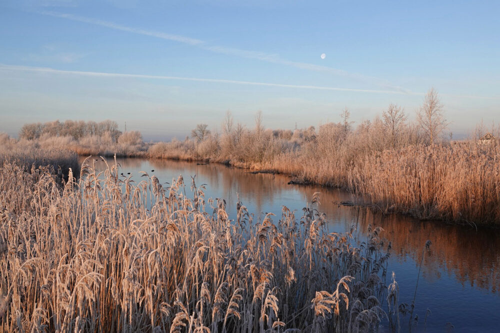Slenk in de Peizerweering (Onlanden)
