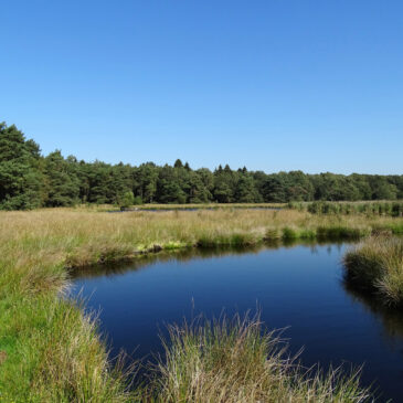 Smitsveen (Dwingelderveld)