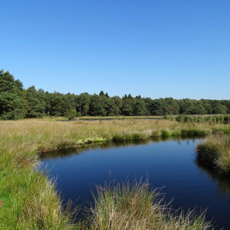 Smitsveen (Dwingelderveld)