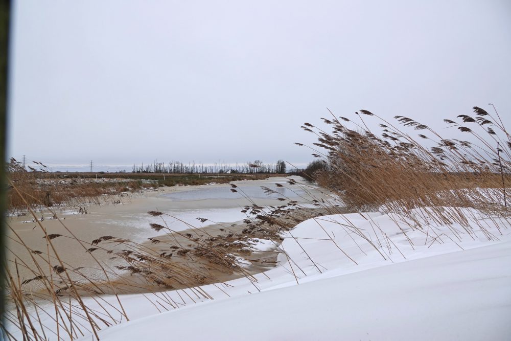 Sneeuw langs de Gouw (Onlanden)