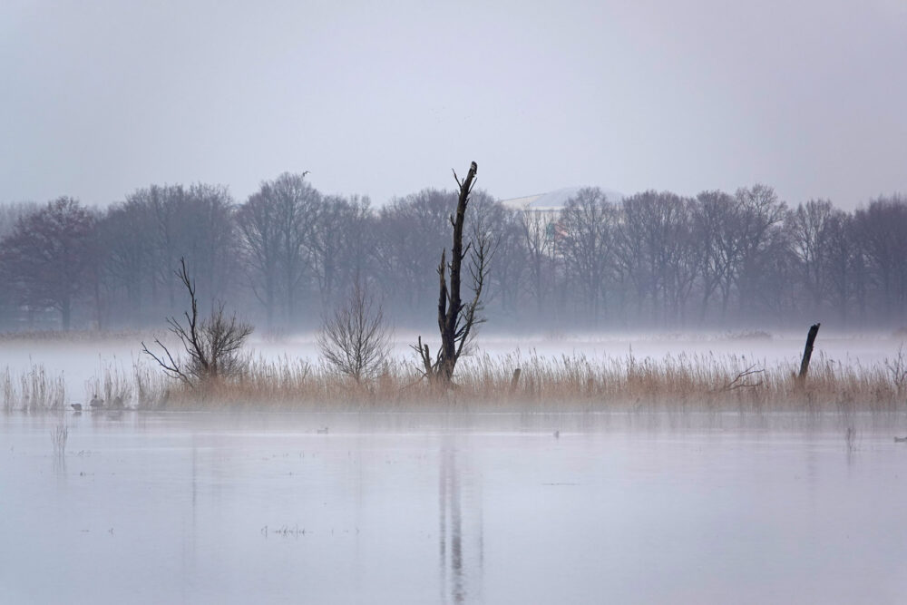 Sneeuwmist (Peizerweering in de Onlanden)