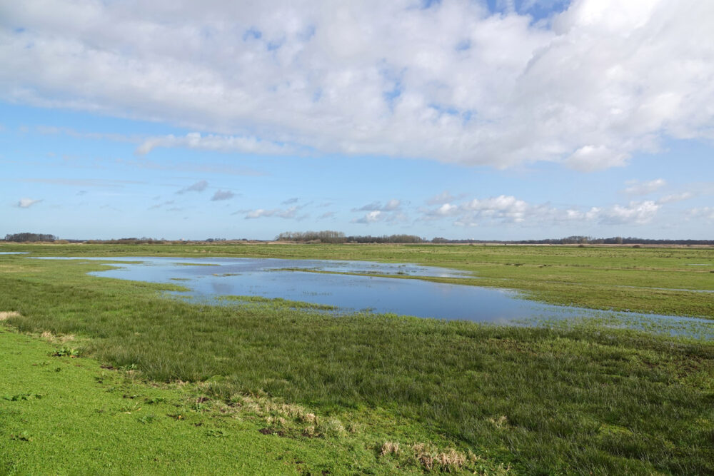 Snegelstukken (Onlanden)