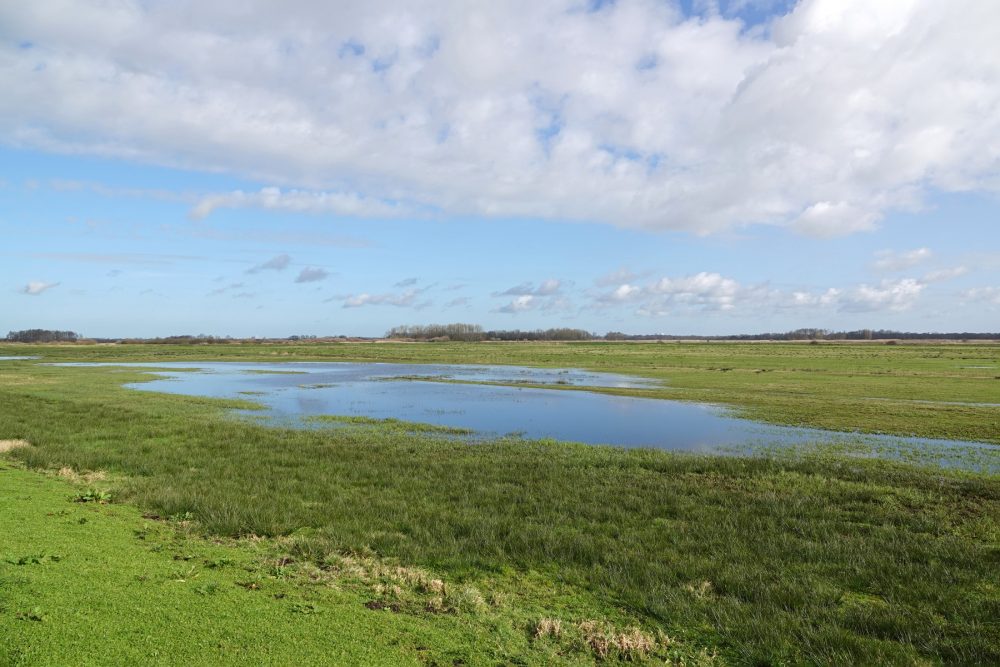 Snegelstukken (Onlanden)