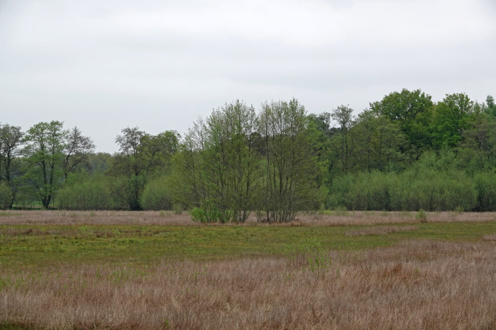Soerense Broek