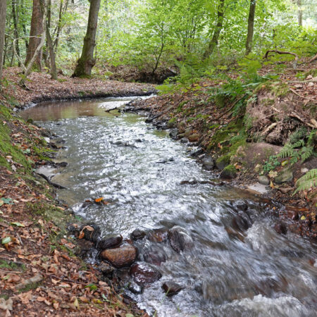 Springendalse Beek