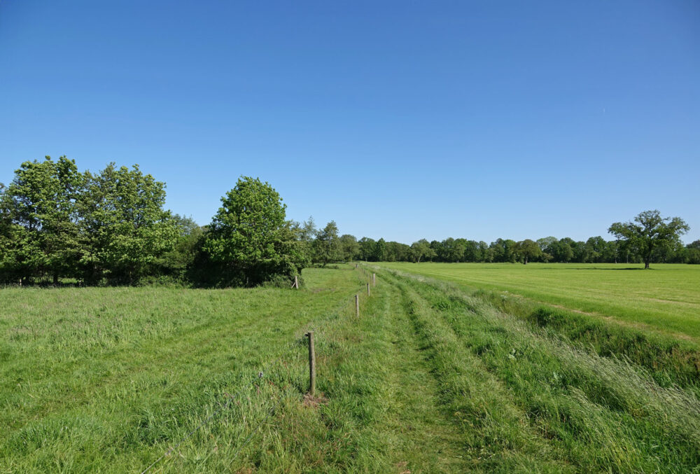 Stenhorsten
