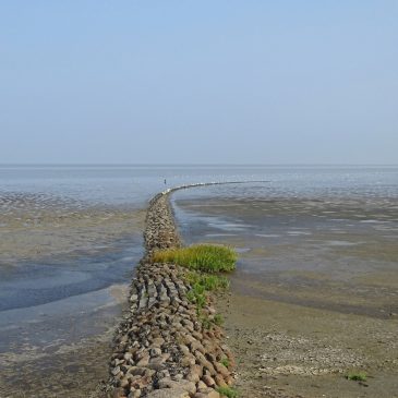 Strekdam Waddenzee bij Koehool