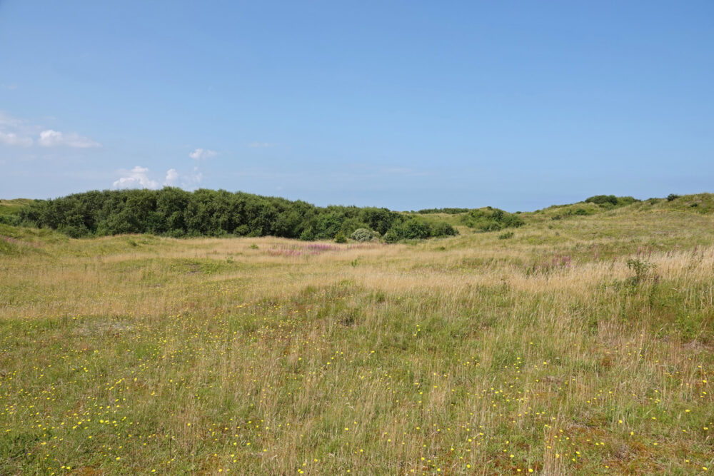 Striedyken op Schiermonnikoog