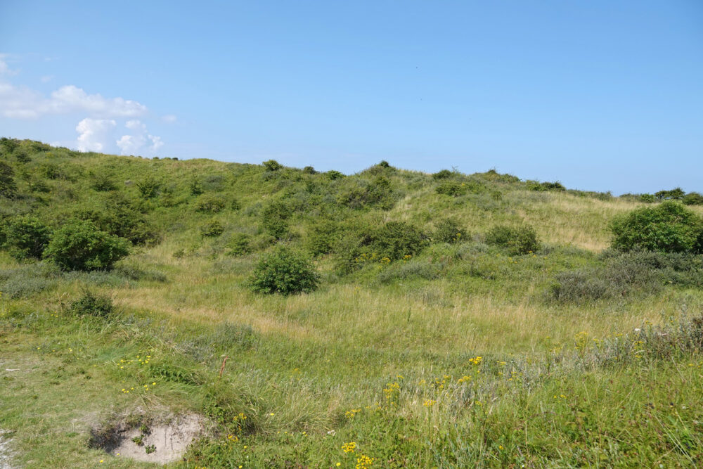 Striedyken op Schiermonnikoog