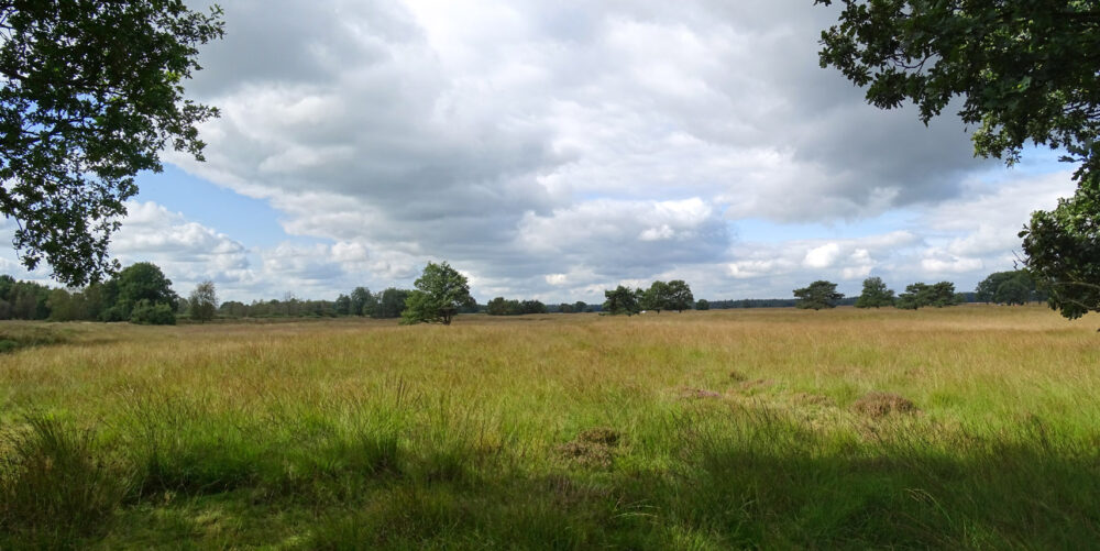Stroomgebied Vledder Aa (NP Drents-Friese Wold)