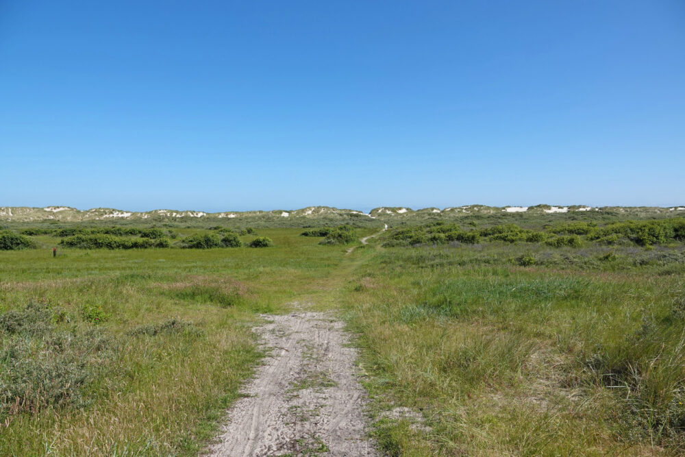 Stuifdijk op Schiermonnikoog