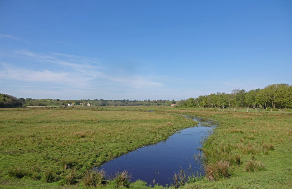 Texel (Ploegelanden)