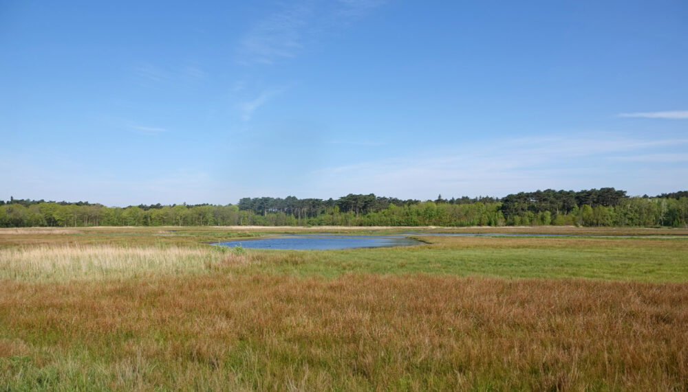 Texel (Ploegelanden)