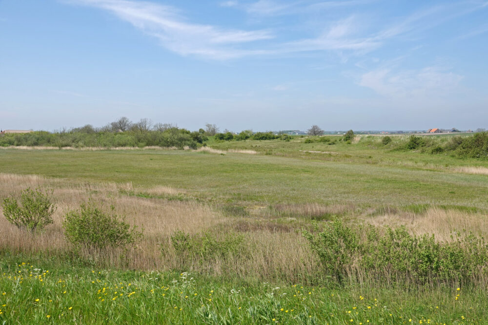 Texel (polder Ceres)