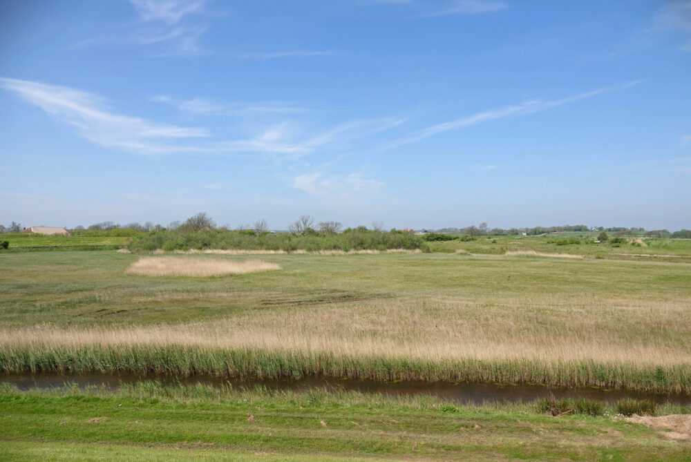 Texel (polder Ceres)