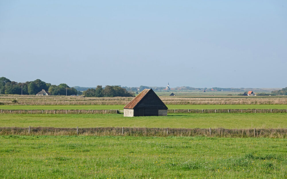 Tuinwallen op De Hoge Berg (Texel)