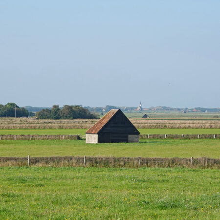 Tuinwallen op De Hoge Berg (Texel)