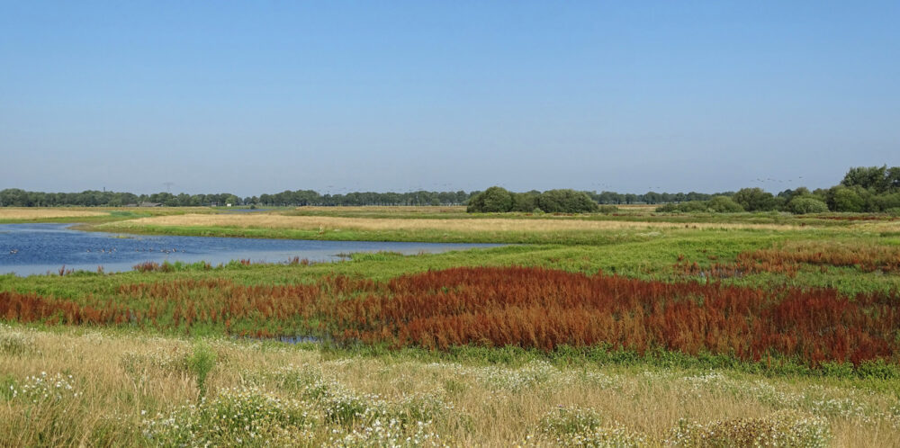 Tusschenwater