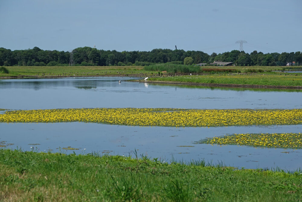 Tusschenwater