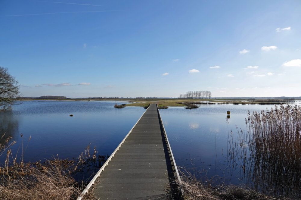 Tusschenwater in het vroege voorjaar