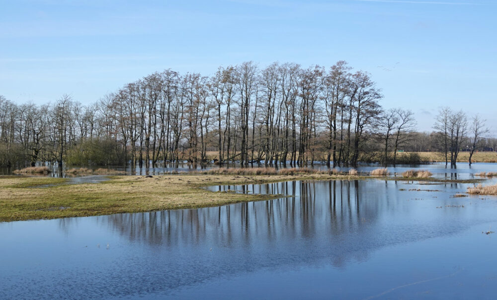 Tusschenwater (winter)