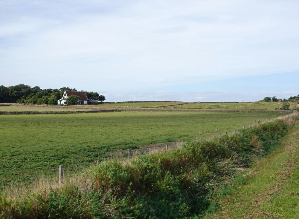 Tuunwallen op Texel