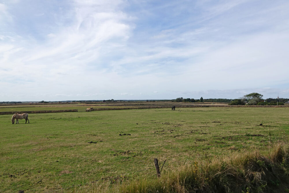 Tuunwallen op Texel