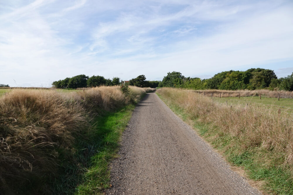 Tuunwallen op Texel