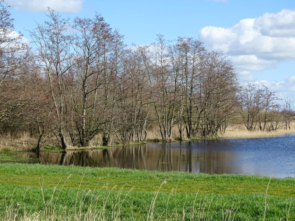 Twijzelermieden