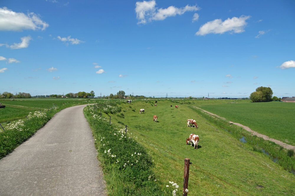 Uiterdijk van het Reitdiep (Reitdiepdal)