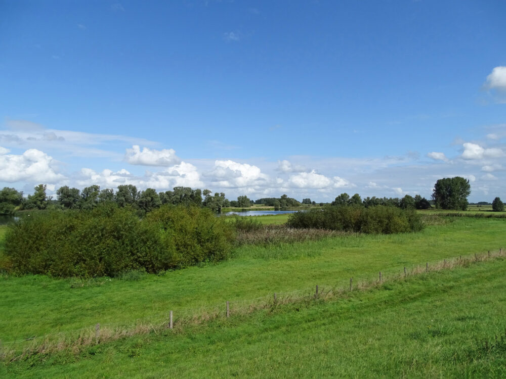 Uiterwaarden IJssel (De Hank)