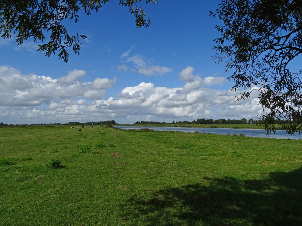 Uiterwaarden IJssel bij Zalk