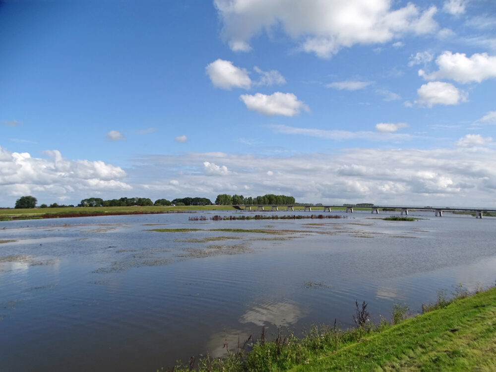 Uiterwaarden Reevediep