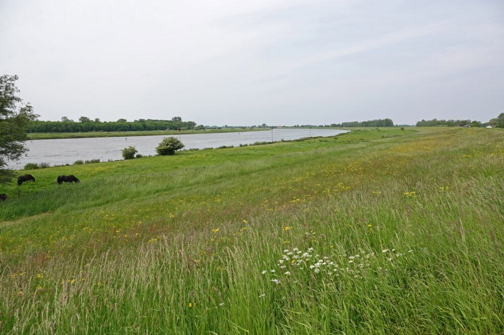 Veecaterwaard (IJsselvallei)
