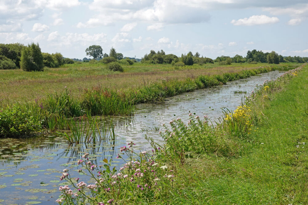 Veerslootslanden