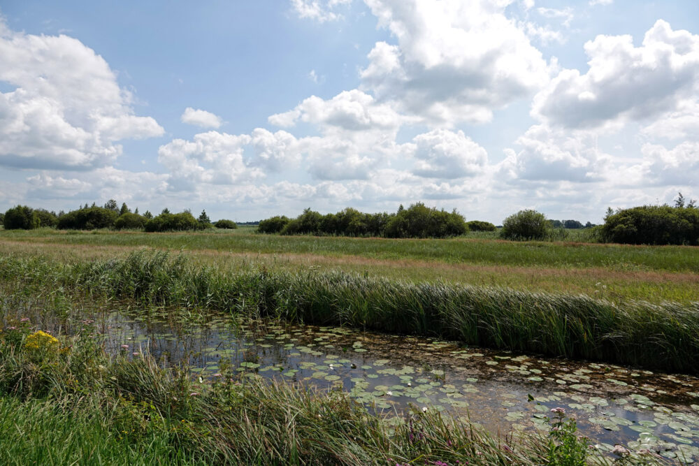 Veerslootslanden
