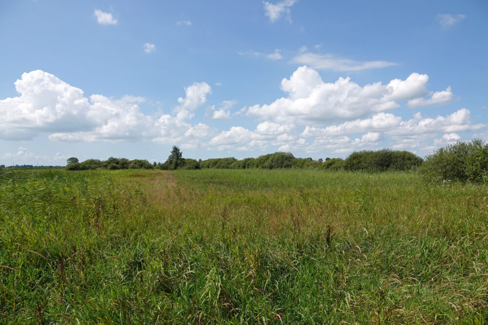 Veerslootslanden