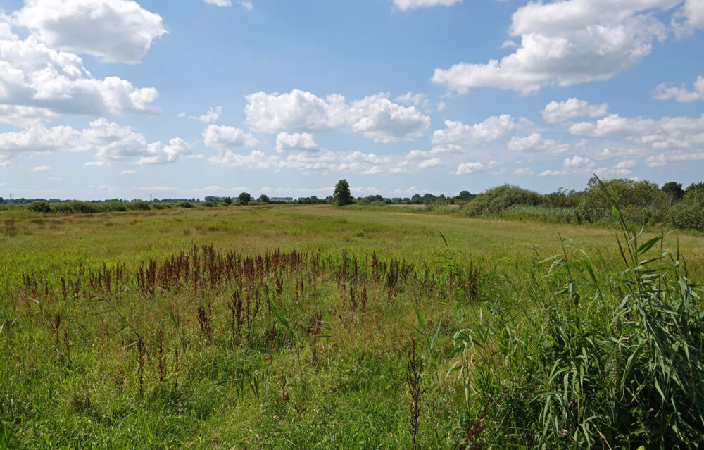 Veerslootslanden